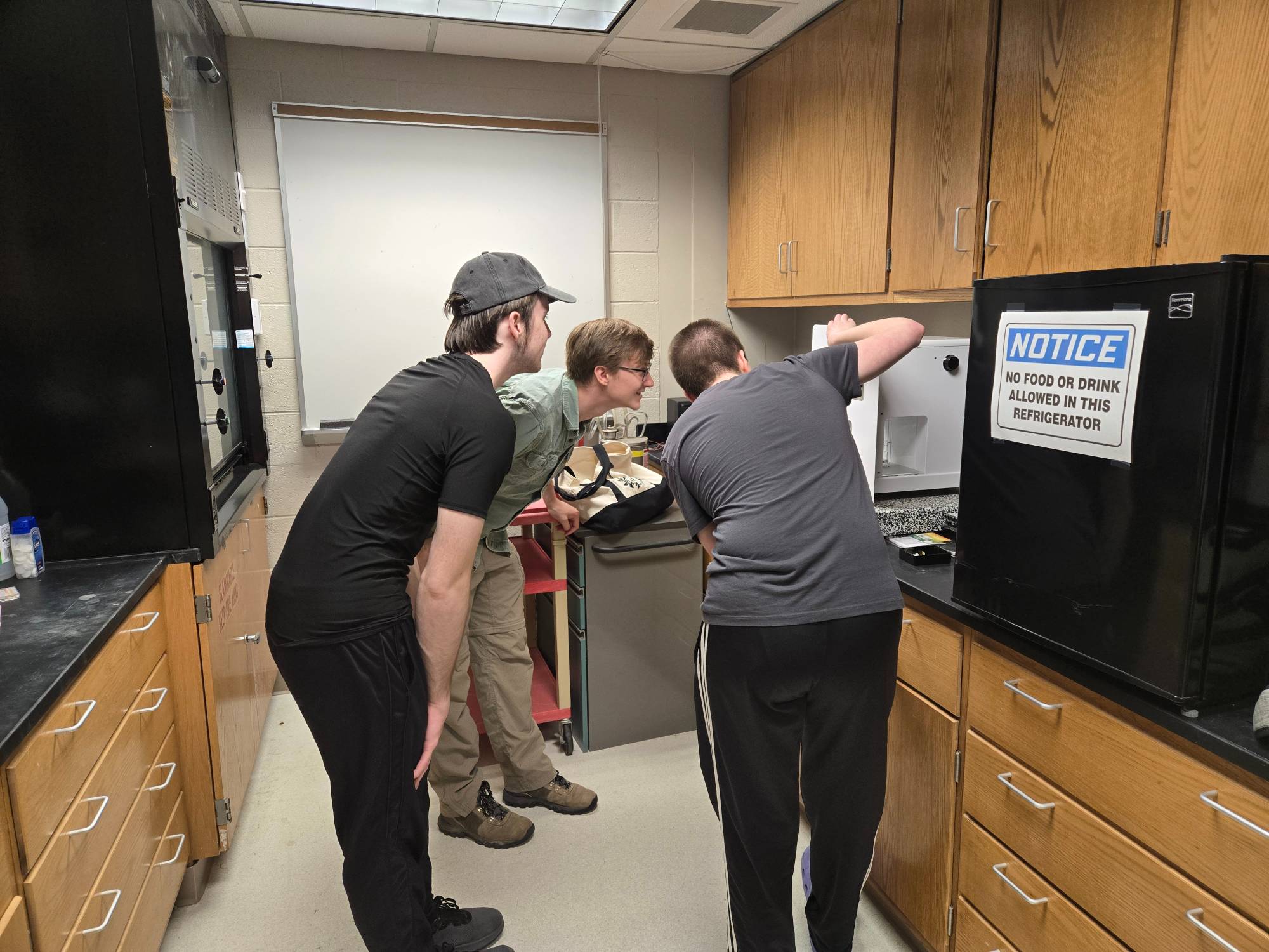 Picture of student scholars working in lab.